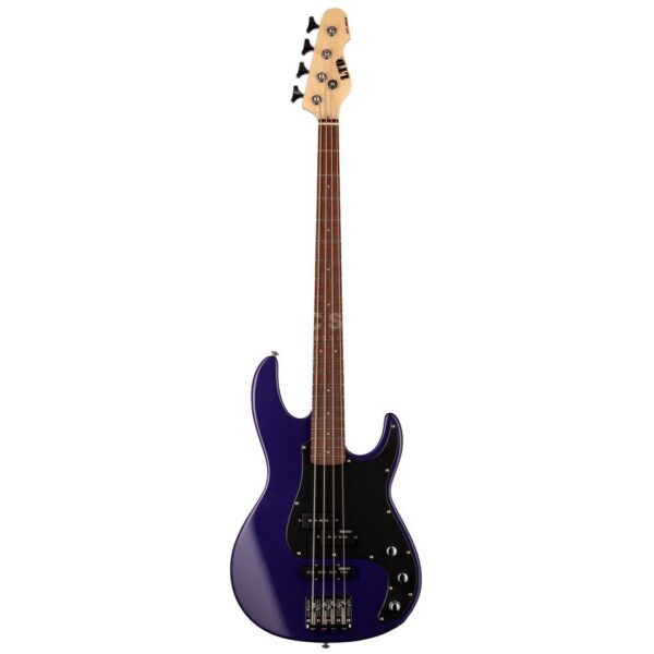 ESP LTD AP-204 Dark Metallic Purple